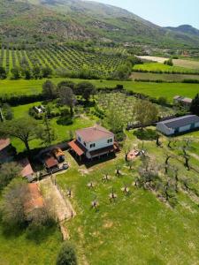 une vue aérienne sur une maison dans un champ dans l'établissement L'Oasi della Fonte, à Albanella