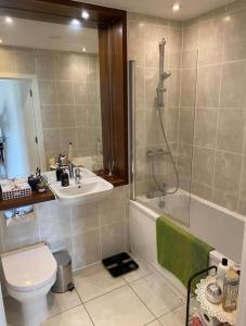 a bathroom with a sink and a toilet and a shower at 1 bedroom apartment in London