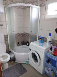 een badkamer met een wasmachine en een toilet bij Milka Lek Lai Cacao Mika ZEE in Nikšić