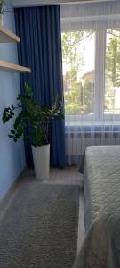 プシェムィシルにあるApartament Grunwaldzkaのギャラリーの写真