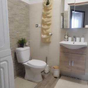 Koupelna v ubytování Mini apartment close to everything you will need