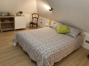 una camera da letto con un letto con un cuscino verde di Magic Valley a Husseren-Wesserling