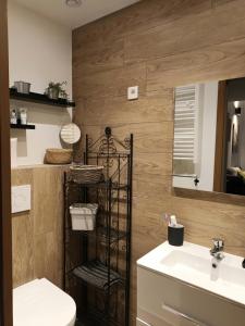 un bagno con un water e un lavandino di Magic Valley a Husseren-Wesserling