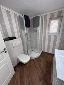 a bathroom with a shower and a toilet and a sink at Ferienhaus/Bungalow Lobbe - 60qm in Lobbe