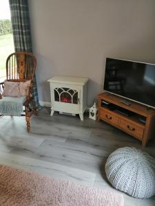 sala de estar con TV de pantalla plana y chimenea en Lake District and Eden Valley Thornhill Lodge, en Long Marton