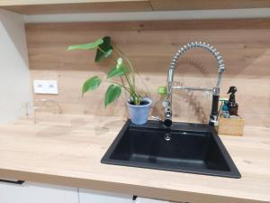 a kitchen sink with a potted plant on a counter at Sweet place in Saint-Denis