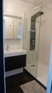 a bathroom with a shower and a sink at Front de mer - Emplacement prisé - T2 moderne et climatisé - Tout à pied in Bandol