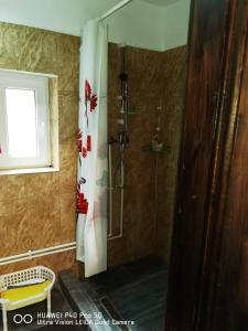 a shower with a shower curtain in a bathroom at Casa Roxana in Vişeu de Mijloc