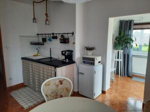 a kitchen with a small refrigerator and a stove at Pod Wierzbą Apartament na Kaszubach 