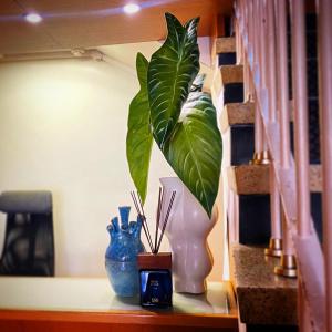 a shelf with a plant and vases on it at Hotel Mar Azul in Espinho