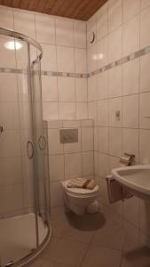 a bathroom with a shower and a toilet and a sink at Gästehaus Post Aigner in Greifenburg