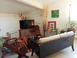sala de estar con sofá y TV en logement atypique avec jacuzzi et piscine, en Carnoules