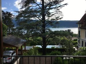 a view of a tree and the water from a house at Charmant T2 Vue Lac Veyrier du Lac / Annecy in Veyrier-du-Lac