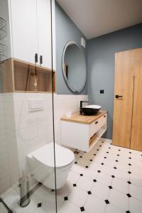 a bathroom with a toilet and a mirror at Arra Apartments in Cluj-Napoca