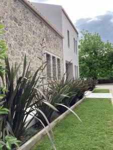 Un bâtiment avec une bande de plantes devant lui dans l'établissement Villa Tartaya, à Dassia