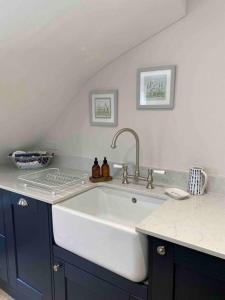 a kitchen with a white sink and blue cabinets at The Lodge in Birchington