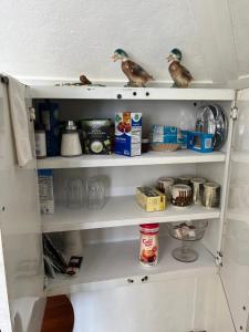 two birds sitting on the shelves of a refrigerator at Bed and Breakfast Hearts Desire in Raton