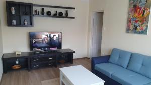 a living room with a blue couch and a tv at Apartament Estera in Oradea