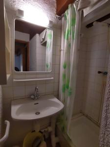 La salle de bains est pourvue d'un lavabo, d'un miroir et d'une douche. dans l'établissement Bienvenue en Transition 46 - Camoussel, à Najac
