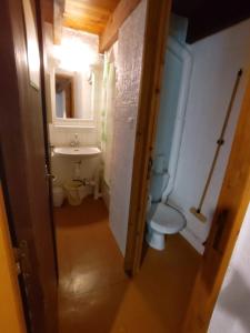 La salle de bains est pourvue de toilettes et d'un lavabo. dans l'établissement Bienvenue en Transition 46 - Camoussel, à Najac