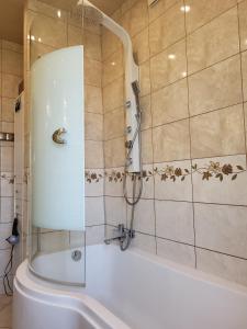 a bathroom with a shower and a bath tub at Emi Apartament in Ogrodzieniec
