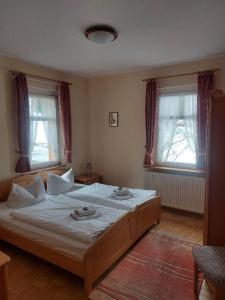 1 dormitorio con 1 cama grande y 2 ventanas en Ferienanlage Zum Silberstollen 2 Häuser am Berg Polderhof und Weißeritzhütte, en Kurort Altenberg