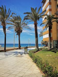a row of palm trees on a sidewalk next to a building at Estudio Algarrobo Costa in Algarrobo-Costa +9 photos