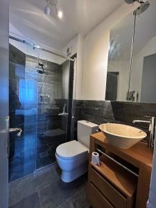 een badkamer met een toilet, een wastafel en een douche bij giomein, appartamento di charme artistico ,CIR 0279 in Breuil-Cervinia