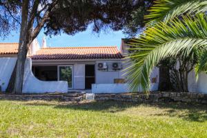 a house with a palm tree in front of it at Villa Zara in Albufeira