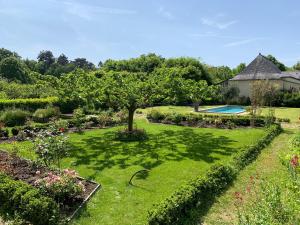 einen Garten mit einem Baum und einem Pool in der Unterkunft Le Petit Vigneau in Ménil