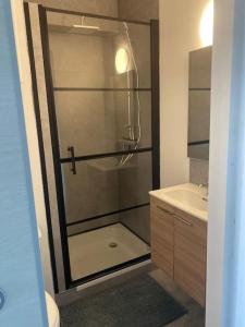 eine Dusche im Bad mit WC und Waschbecken in der Unterkunft Nieuwe studio Westende Edelweiss in Middelkerke