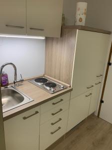 a small kitchen with a sink and a stove at Kleines Einzimmer-Apartment 14 in Bad Wildbad +2 photos
