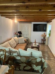 卡羅維西的住宿－Dimitra's house at Karlovasi，带沙发和电视的客厅