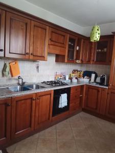 Kuchyň nebo kuchyňský kout v ubytování B&B Kazakova