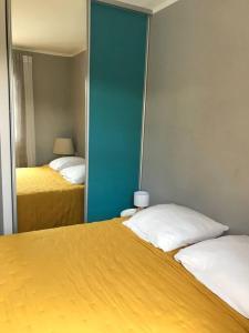 ein Schlafzimmer mit zwei Betten und einem Spiegel in der Unterkunft Villa l'Amoureuse 3 in Saint-Paul-le-Jeune