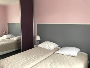 ein Schlafzimmer mit zwei Betten und einem Spiegel in der Unterkunft Villa l'Amoureuse 3 in Saint-Paul-le-Jeune + 47 Fotos