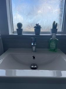 a bathroom sink with a window with cactuses at Small Doble, Shared House in Bristol