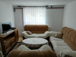 a living room with two couches and a tv at Apartment Božica in Žabljak