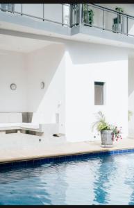 a swimming pool with a potted plant next to it at Guest House Casa S in Ngaparou