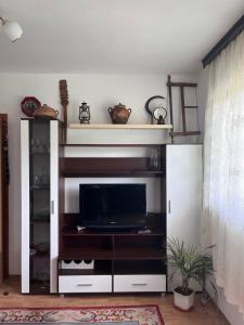 a living room with a tv in a entertainment center at Villa Rose in Sarajevo