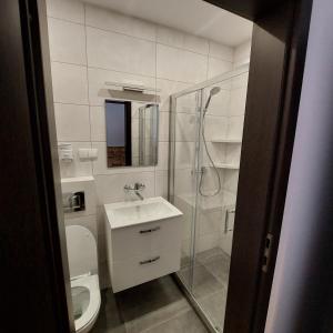 a bathroom with a toilet and a sink and a shower at CYKADA 4 in Ostrowo