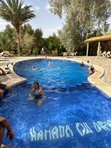 Relais Hamada Du Draa في امحاميد: مجموعة أشخاص يسبحون في مسبح
