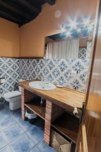 een badkamer met een wastafel en een toilet bij Mirador De Picos in Aliezo