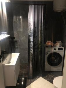 a bathroom with a shower and a washing machine at Apartman Miro in Marčana