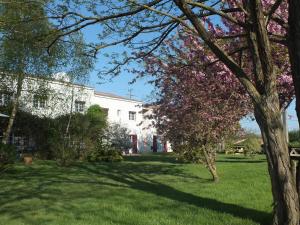 a flowering tree in front of a white house at Le Mareuillais Hotel-Restaurant in Mareuil-sur-Lay