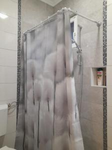 a shower with a shower curtain in a bathroom at Anni in Belgrade