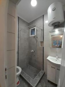 La salle de bains est pourvue d'une douche, de toilettes et d'un lavabo. dans l'établissement Anni, à Belgrade