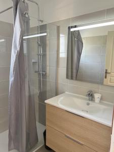 a bathroom with a shower and a sink and a mirror at Appartement 140M2 villa cargèse in Cargèse