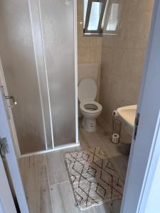 a bathroom with a toilet and a shower and a sink at Casa Maria João in Lagos +11 photos