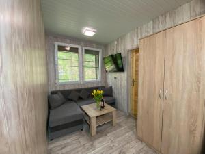 a small living room with a couch and a table at Domek Letniczówka in Olsztynek